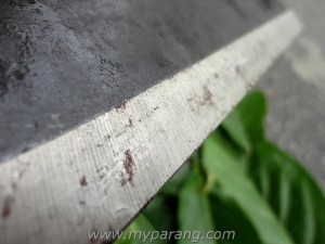 sam lee parang 2